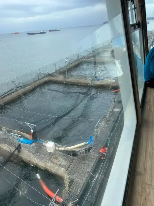 Puerto Montt, registro fotográfico 2 de 8