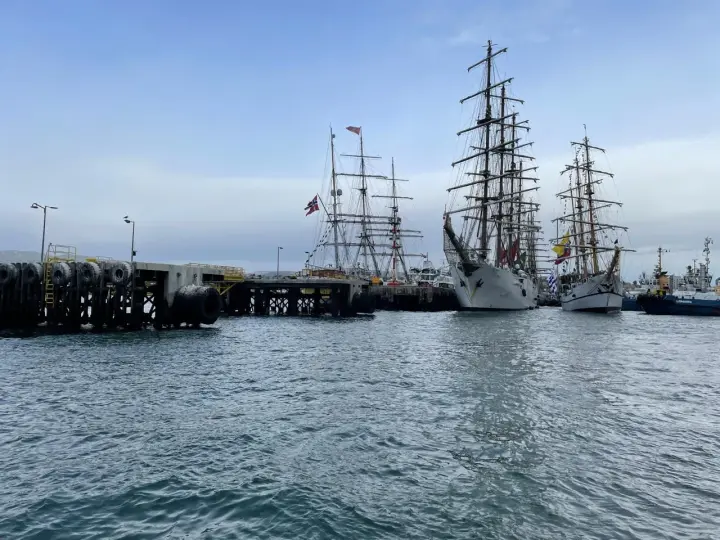 Punta Arenas, registro fotográfico 12 de 35